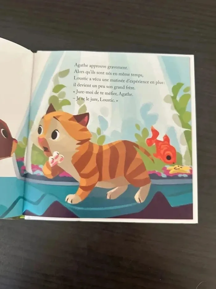 Chat échaudé craint l’eau froide livre McDo - photo numéro 6
