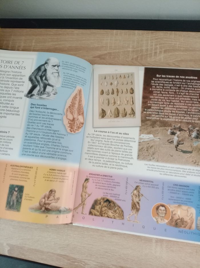 La préhistoire - photo numéro 3