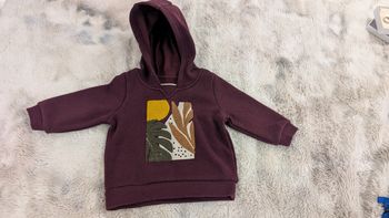 Sweat à capuche Gémo taille 6 mois