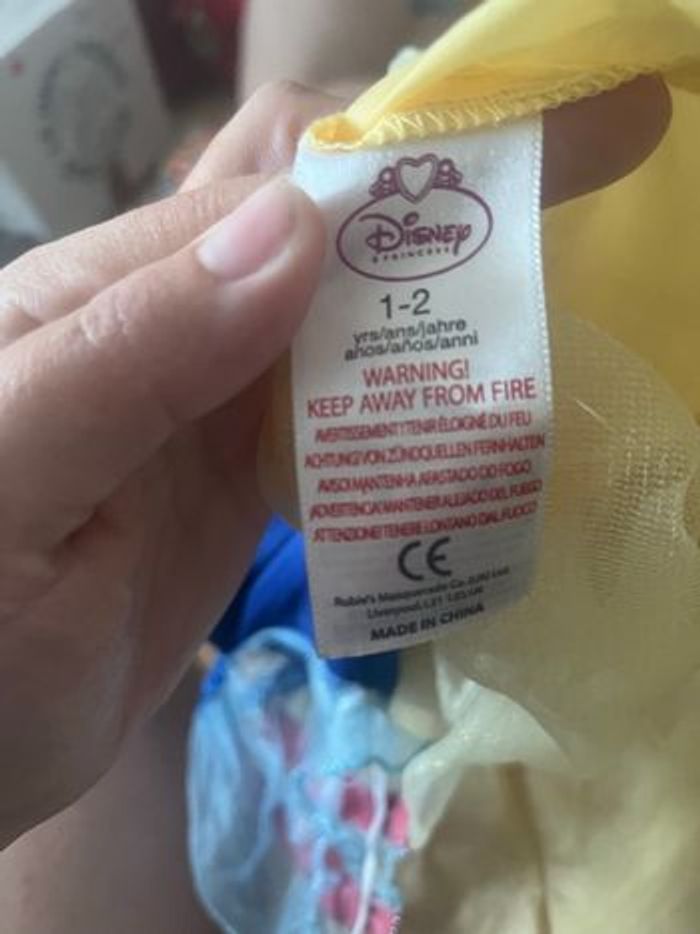 Déguisement Disney - photo numéro 3