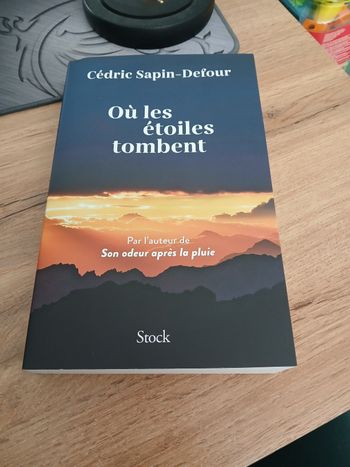 LIVRE OU LES ETOILES TOMBENT DE CEDRIC SAPIN DEFOUR