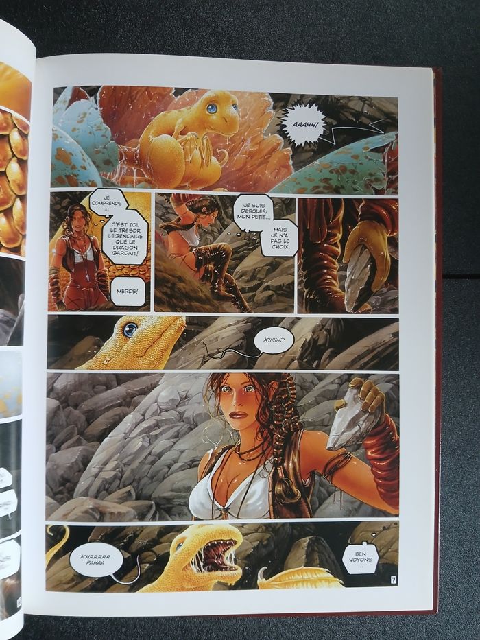 Bd dragons, EO - photo numéro 6