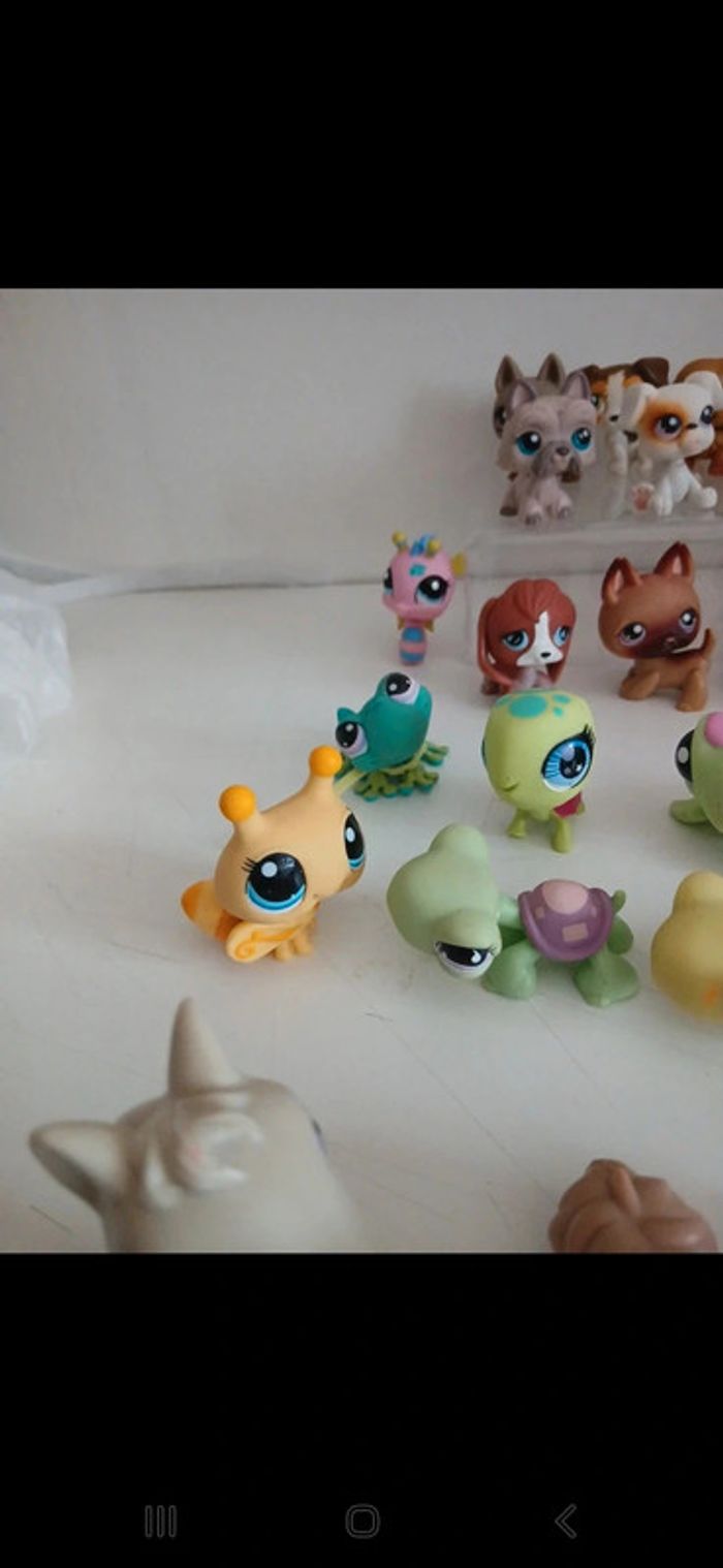 Littlest petshop - photo numéro 11