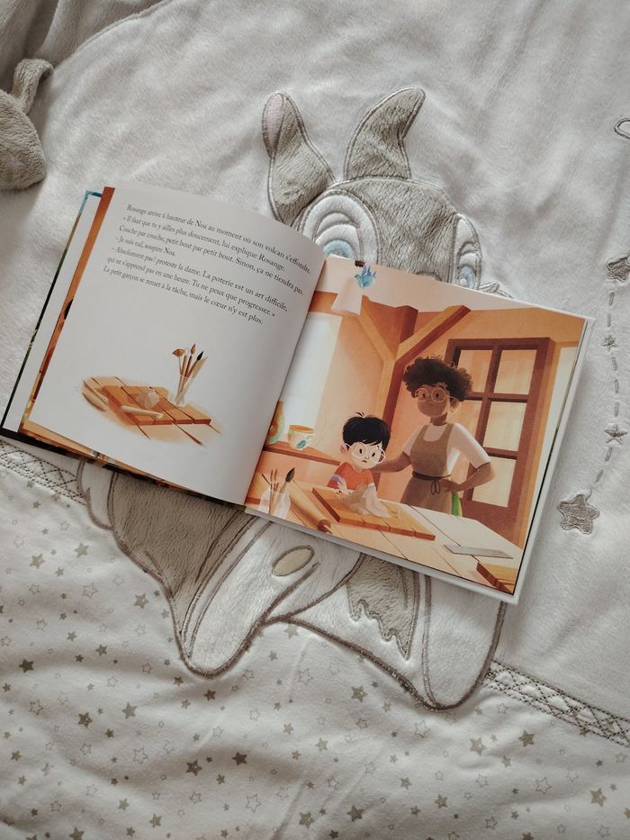 Livre le volcan - photo numéro 2