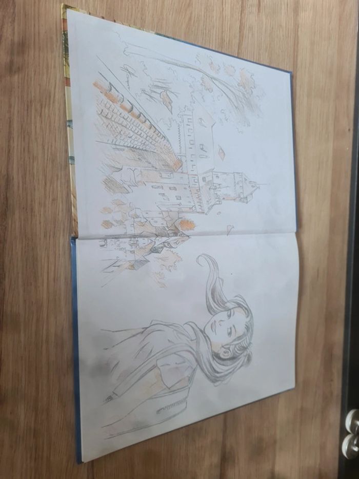 Haut-koenigsbourg le défi du temps - photo numéro 5