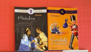 Lot 2 livres scolaires lycée
