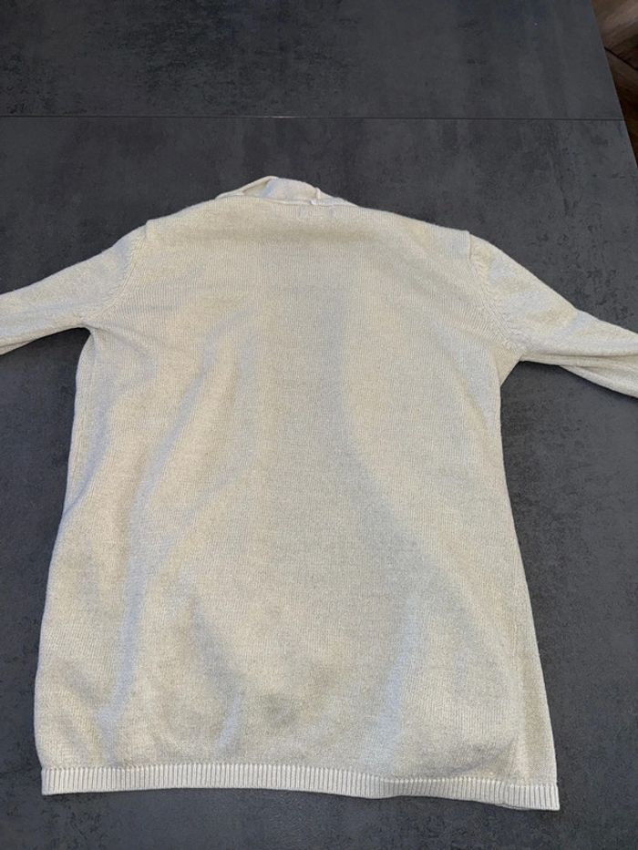 Gilet - photo numéro 5