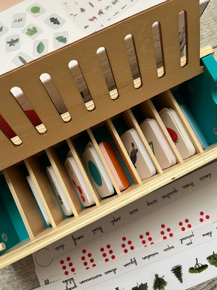 Plumier de tri Montessori, nature et découvertes - photo numéro 2