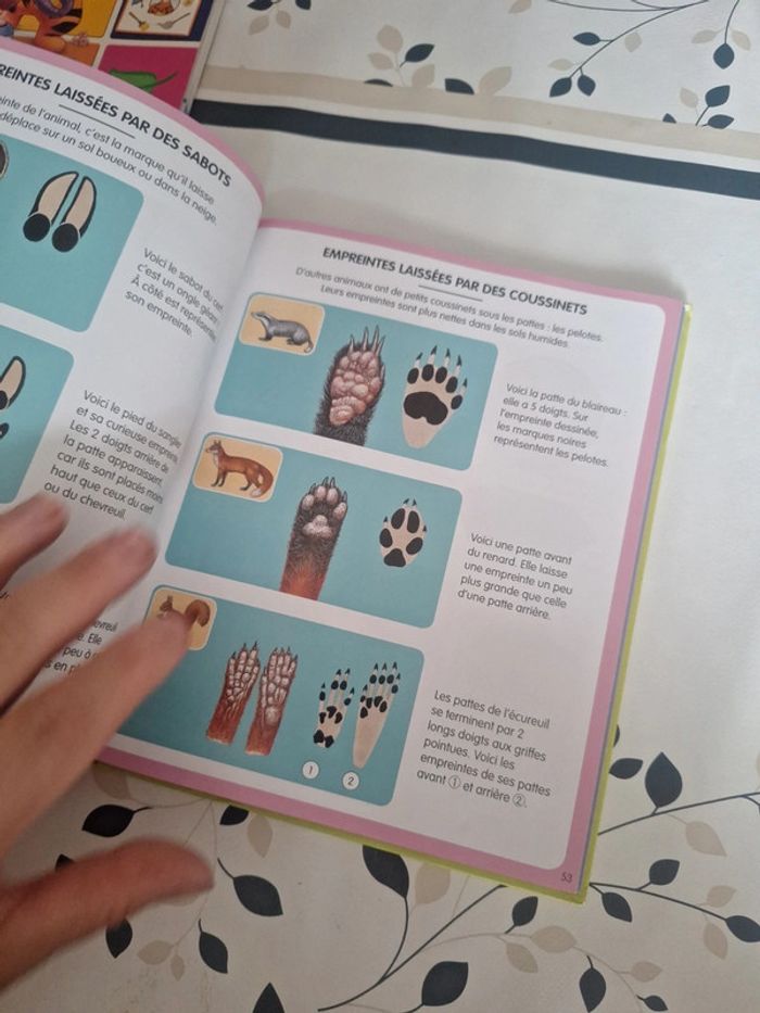 #Livre image de la forêt pages interactive - photo numéro 4