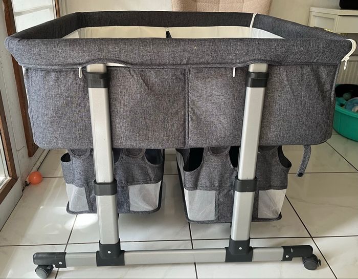 Cododo jumeaux - photo numéro 2