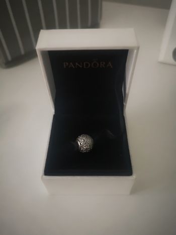 Charm Pandora