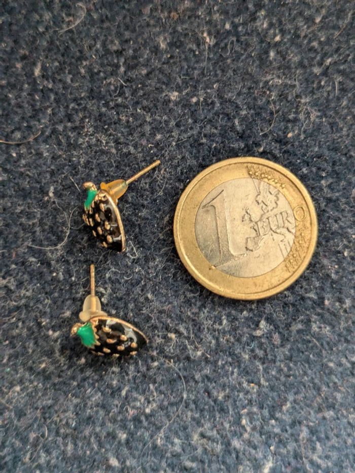 Puces d'oreilles fraises noires - photo numéro 2