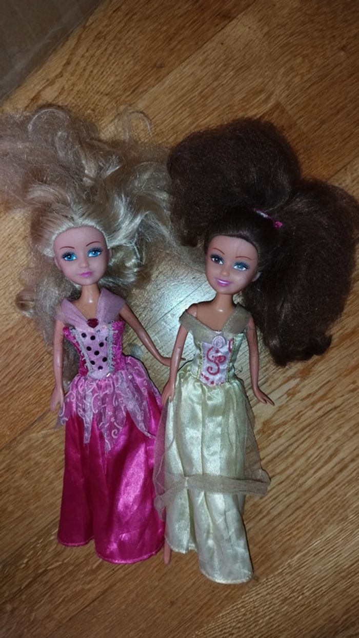 Lot 2 poupée style barbie dolls