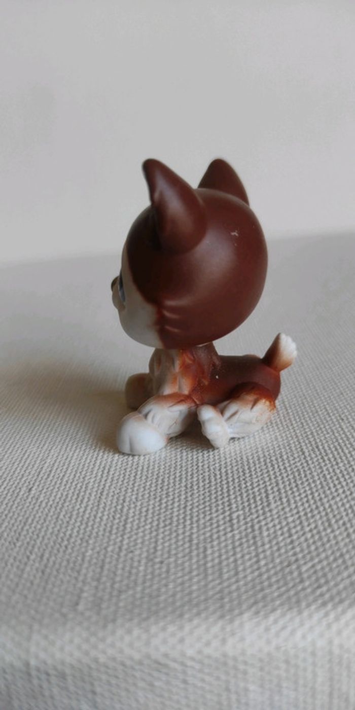 My littlest petshop chien lps husky 427 - photo numéro 5