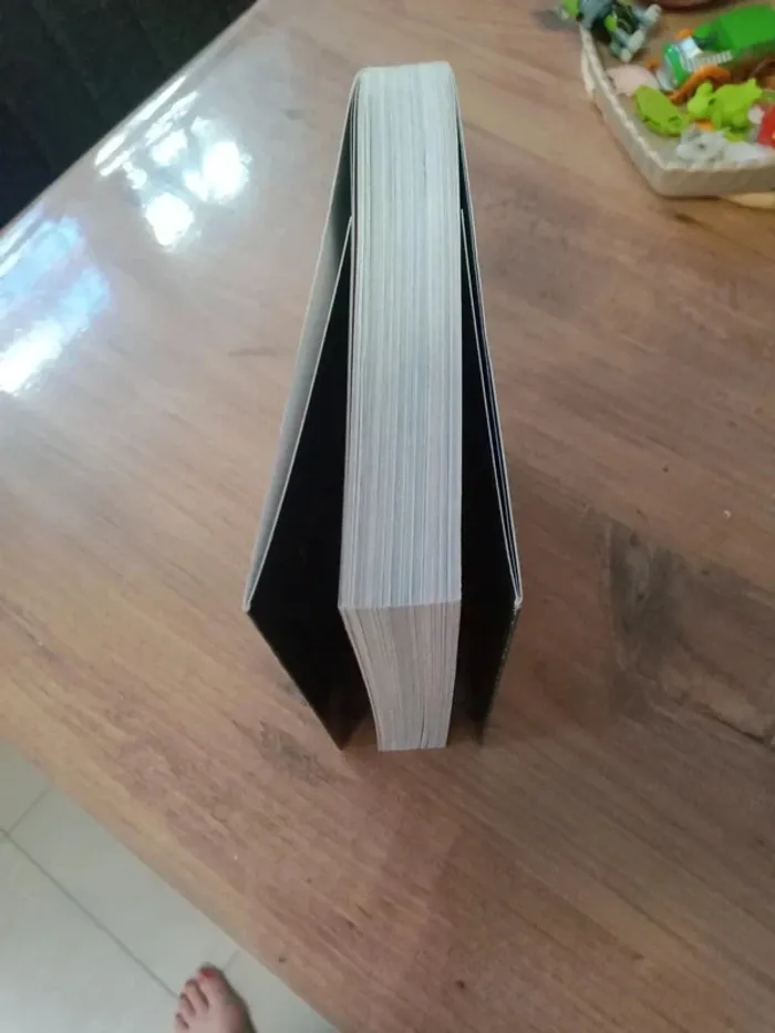 Livre histoire du soir - photo numéro 15
