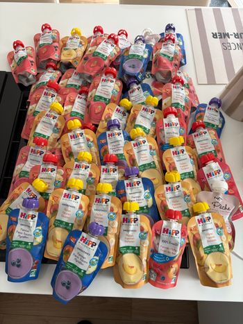 Lot compote Hipp bio neuf 