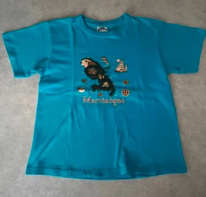 Tee-shirt garçon 12 ans