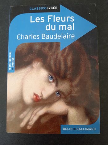 Les fleurs du mal Baudelaire