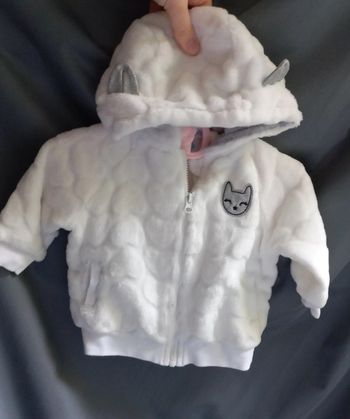 Gilet capuche petit 🐱 chat