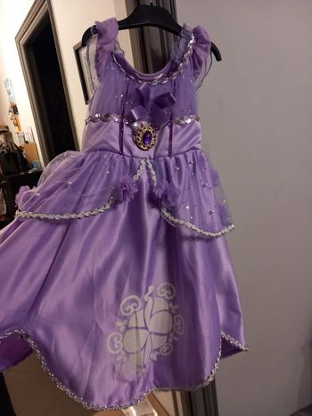 Robe princesse sofia