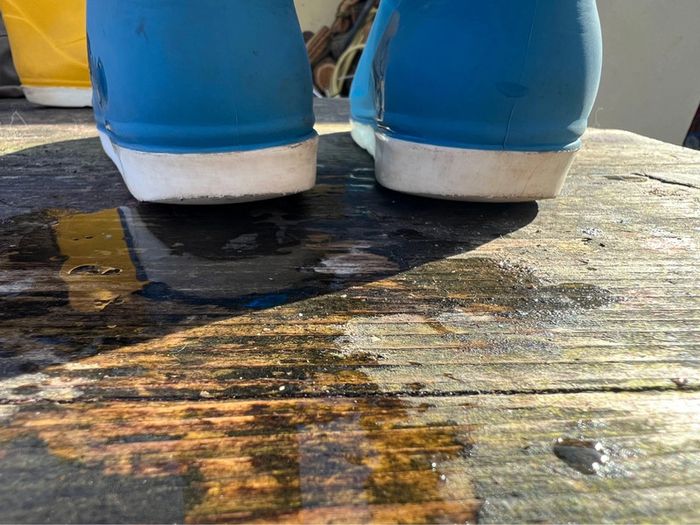 Botte de pluie tribord bleu taille 30 - photo numéro 2