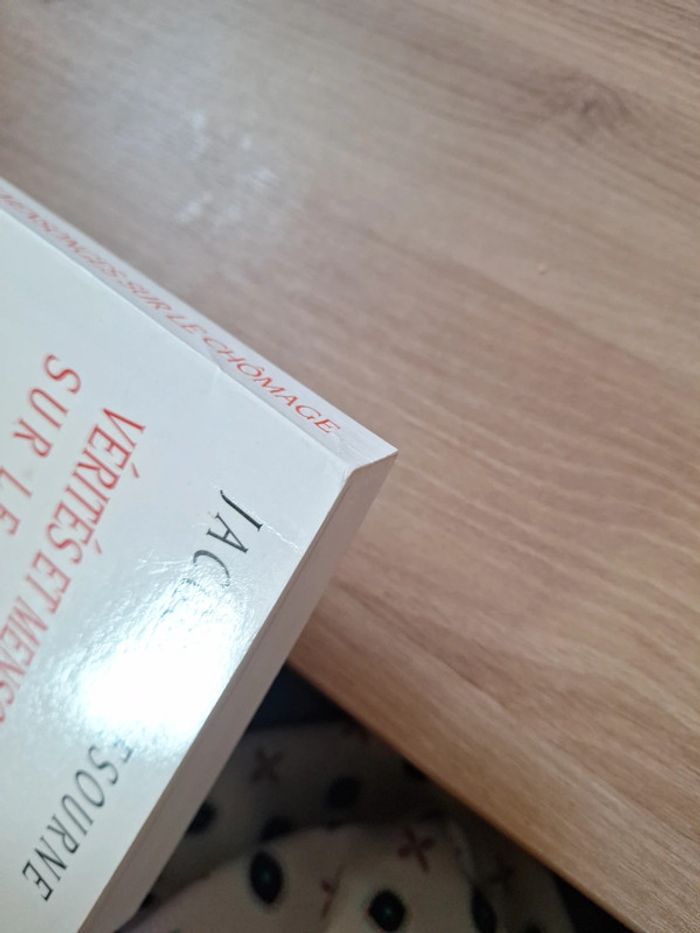 Vérités et mensonge sur le chômage - photo numéro 6