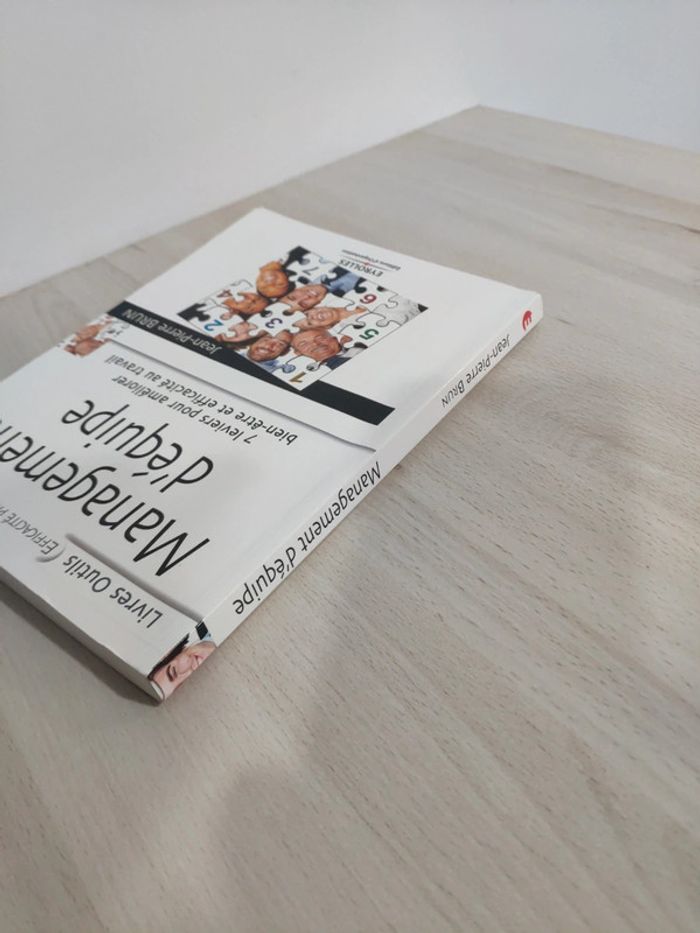 Livre management équipe 7 leviers améliorer bien être efficacité professionnelle Brun - photo numéro 5