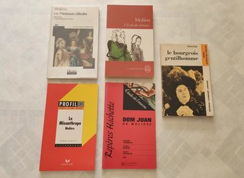 Lot de livres théâtre
