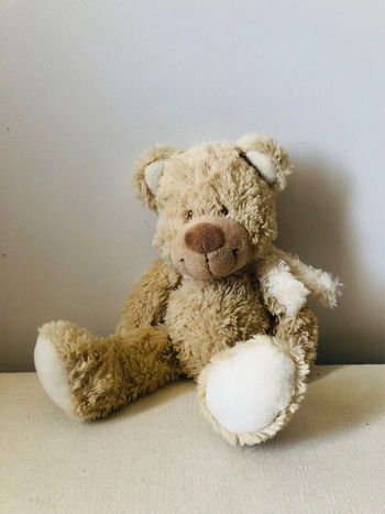 Ours en peluche doudou enfant neuf