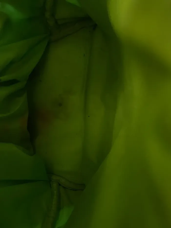 Sac à dos scolaire évolutif Ergobag - photo numéro 7