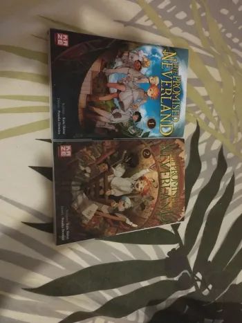 The promised neverland