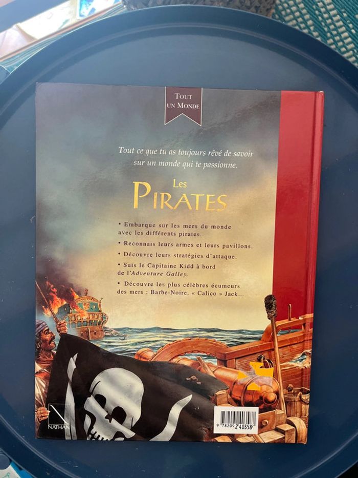 Livre les pirates - photo numéro 2