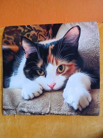 Housse de coussin 