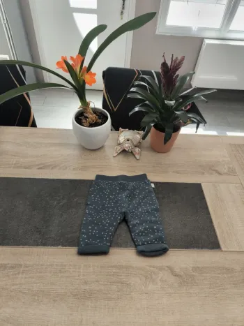 Pantalon legging doublé coupe large garçon 6 mois Lulu castagnette
