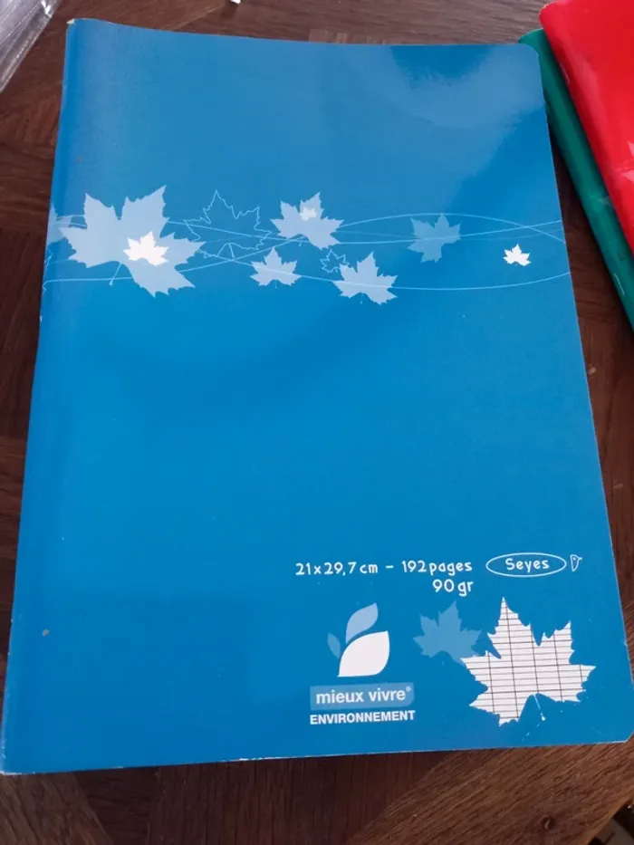 Cahier 21x29,7 grands carreaux 192 pages