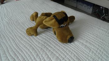 Peluche chien à lunettes