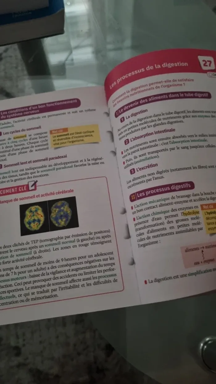 Fiches brevet 3e - photo numéro 3