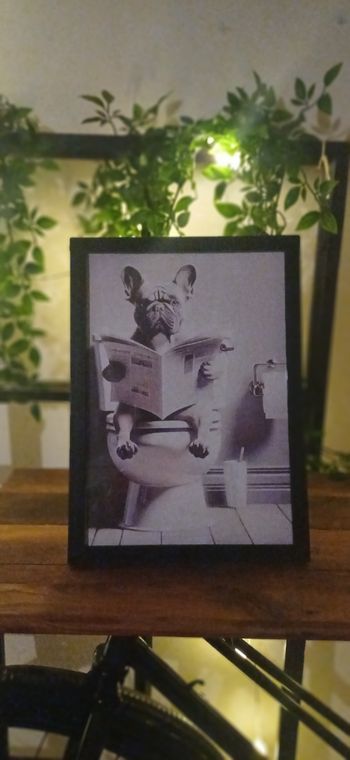 Cadre mural décoration intérieur chien humour toilette