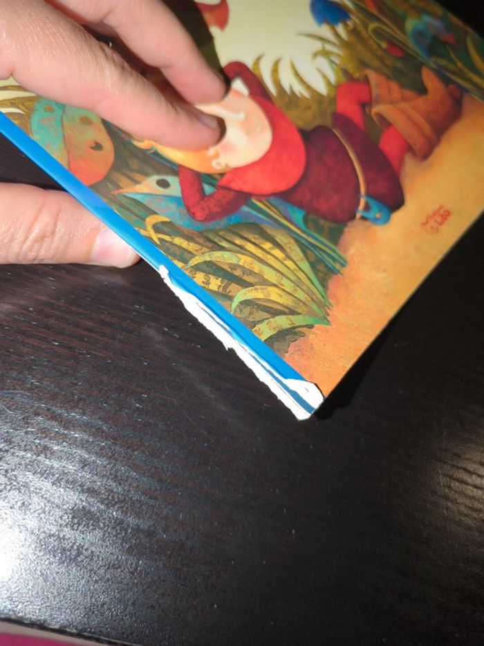 Le petit Poucet livre - photo numéro 2