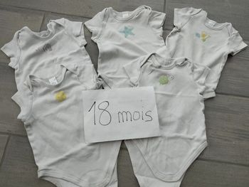 Lot n°438 Lot de 5x Bodies manches courtes Baby Club 18 mois