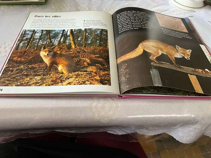 Livre animaux de  notre région   Le renard - photo numéro 4