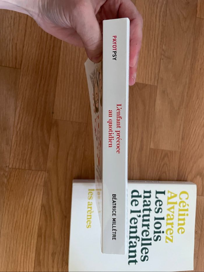 Lot de livres sur l’éducation - photo numéro 3