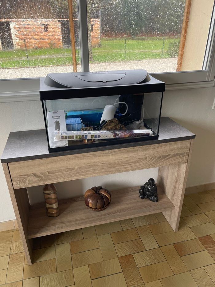 Aquarium - photo numéro 2