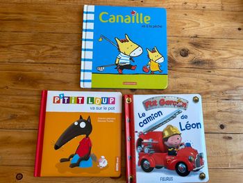 Lot de 3 livres