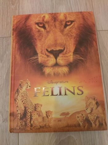 Félins