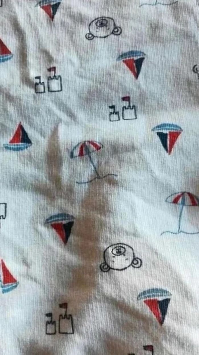 Lot de 2 Pulll ours - photo numéro 6