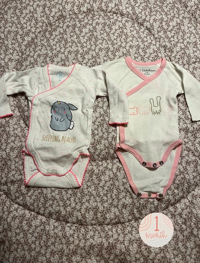 Lot 2 body