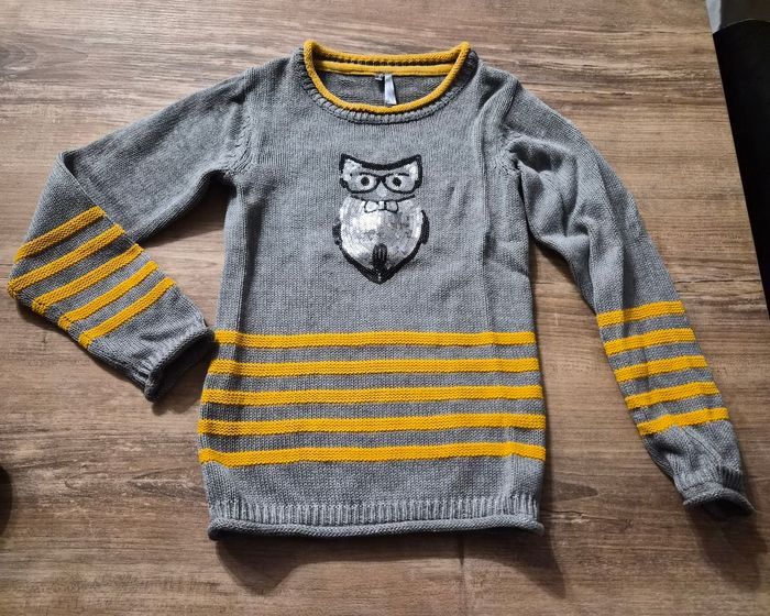 Pull chouette sequins