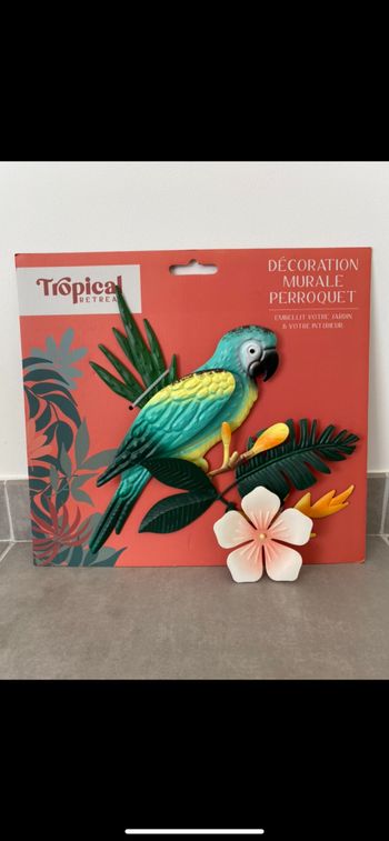 Magnifique Perroquet murale