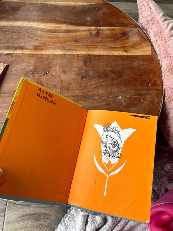 Livre contes - photo numéro 2